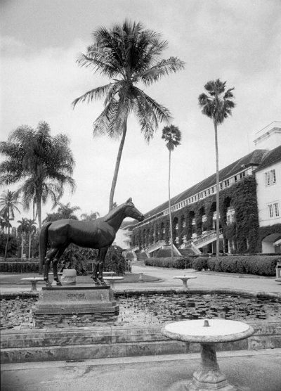 Citation the eighth American Triple Crown winner stands on sentry duty at the centre of the lily pool near the entrance of Hialeah Park's clubhouse. Provided by the State Archives of Florida.