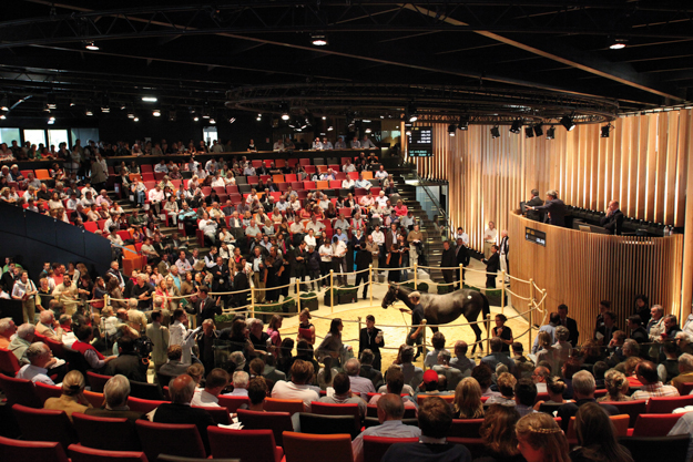 Sale ring at the Arqana Deauville complex. Photo: Arqana.