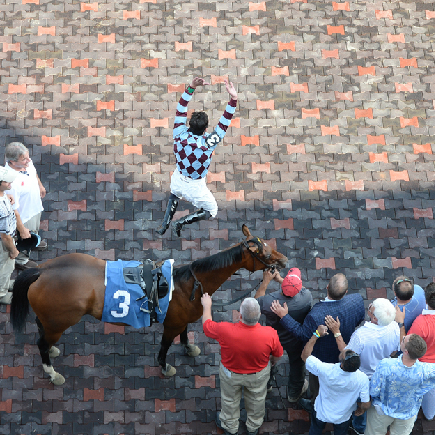 Frankie Dettori does his famous flying dismount after winning at Saratoga Race Course on the Wesley Ward-trained Aventure Love. Photo:NYRA/Susie Raisher