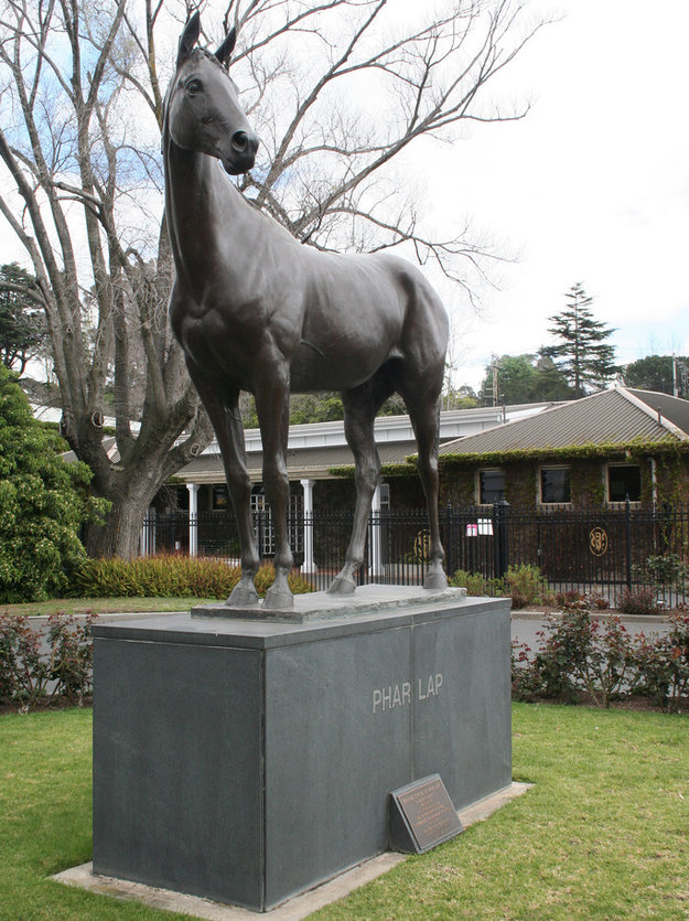 Australian racing legend Phar Lap stands at Flemington Racecourse. Photo: Flickr/williewonker. 