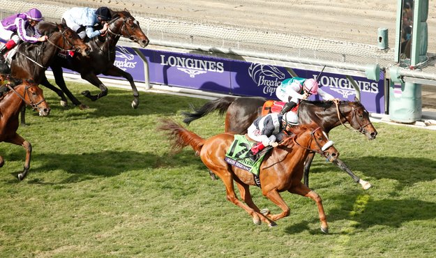 Main Sequence BC Turf 2014 Breeders' Cup Photo