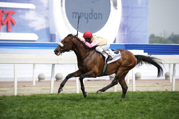 Mutual Force and jockey Royston Ffrench win the inaugural Chengdu Dubai International Cup for trainer Ali Rashid Al Raihe. Photo:Dubai Racing Club/Andrew Watkins. 