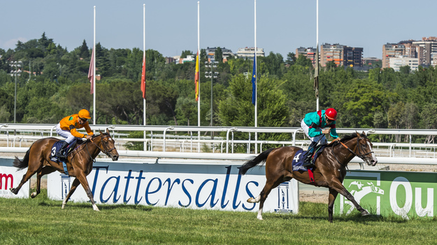 Noozhoh Canarias winning the Premio Tattersalls-Martorell at La Zarzuela Racecourse in June 2013. RacingFotos.com