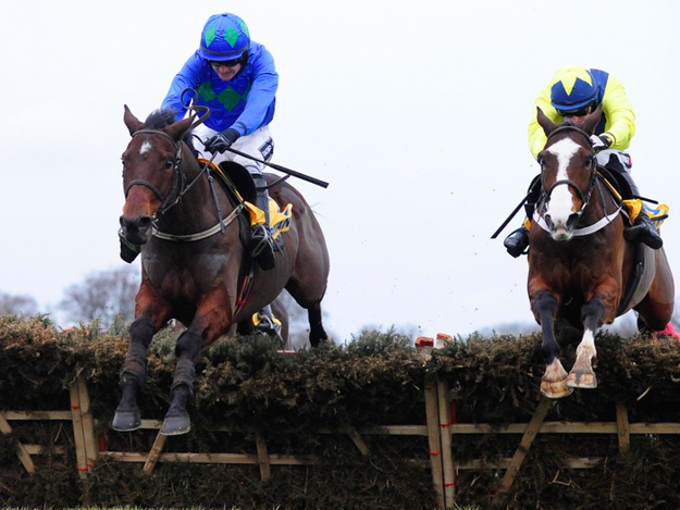 Hurricane Fly in the Ryanair Hurdles at Leopardstown