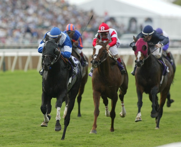 Better Talk Now and jockey Romon Dominguez (blue/white silks) wins the 2004 Breeders' Cup Turf. Photo: RacingFotos.com