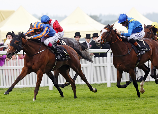 Bracelet and jockey Joseph O'Brien win the Ribblesdale Stakes at Royal Ascot. RacingFotos.com