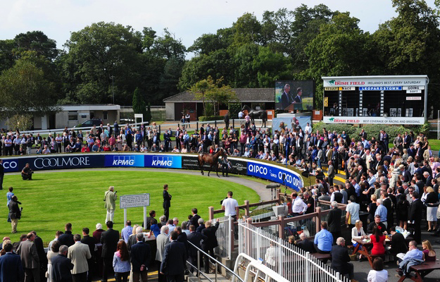 Goffs Champions Sale held before racing began at Leopardstown for Irish Champions Weekend. Photo: RacingFotos.com