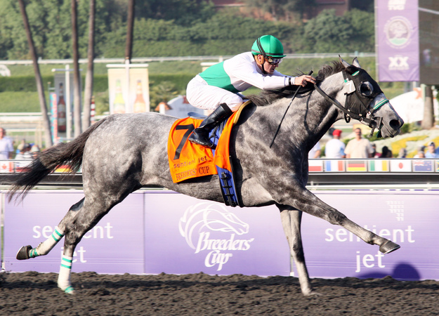 Strawbridge's Informed Decision, trained by Jonathan Sheppard, wins the 2009 Breeders' Cup Filly and Mare Sprint. RacingFotos.com