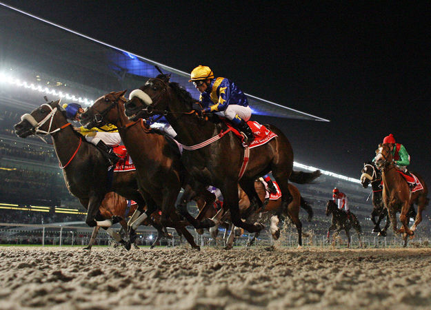 The 2010 Dubai World Cup, the first on Tapeta at Meydan. RacingFotos.com