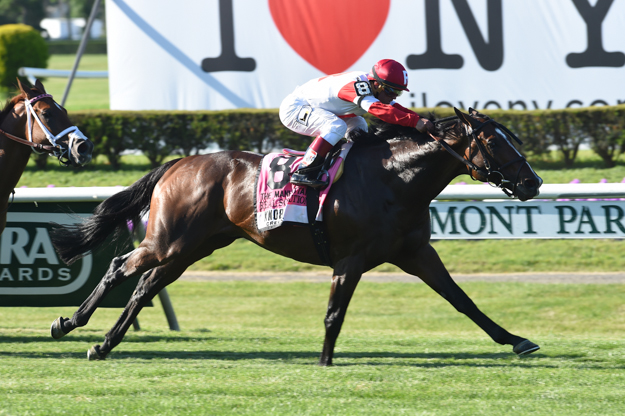 Real Solution won the 2014 Manhattan Stakes. Photo: NYRA/Dave Alcosser.