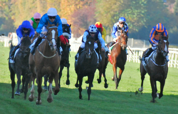 Arqana October Yearling Sale graduate Robin Of Navan (white cap) leading all the way for G1 glory at Saint-Cloud. Photo: John Gilmore