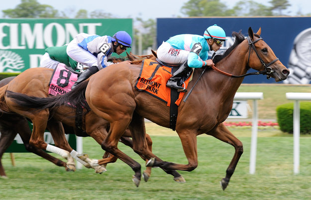 Lady Eli en route to victory in the Wonder Again stakes at Belmont Park on May 31. Photo: NYRA/Adam Coglianese.