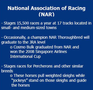 NAR info