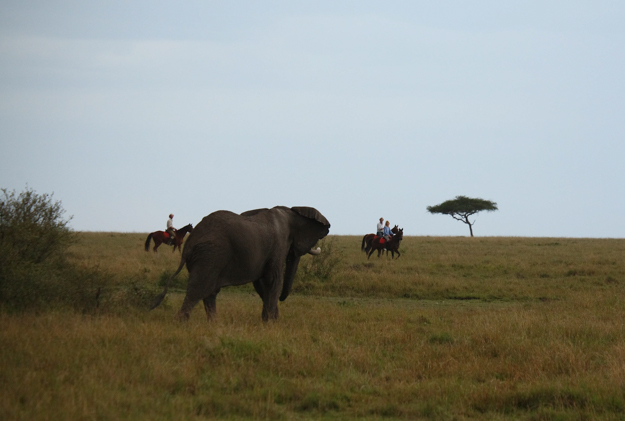 Safaris Unlimited group. Photo via Safaris Unlimited.