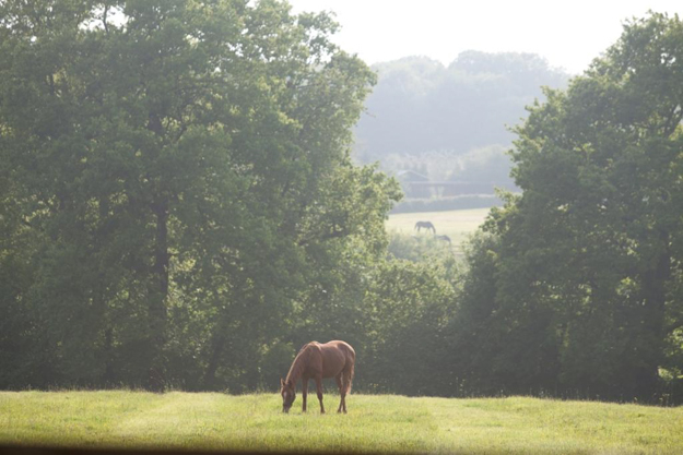 Pastures at Ecurie des Monceaux. Photo via Ecurie des Monceaux.