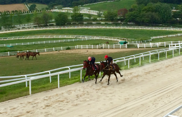 Wondang apprentice school: a facility that shows how serious the country is about developing its own jockeys. Picture: Katherine Ford