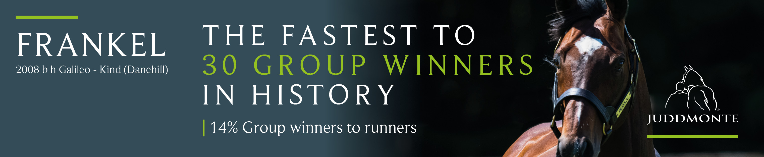 ref3268_-_trc_banner_adverts_-_june_2019