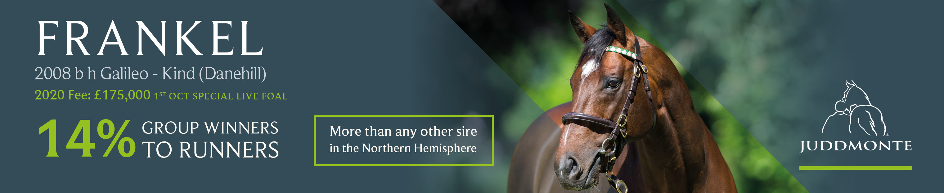 trc_banner_adverts_-_november_2019_-_int