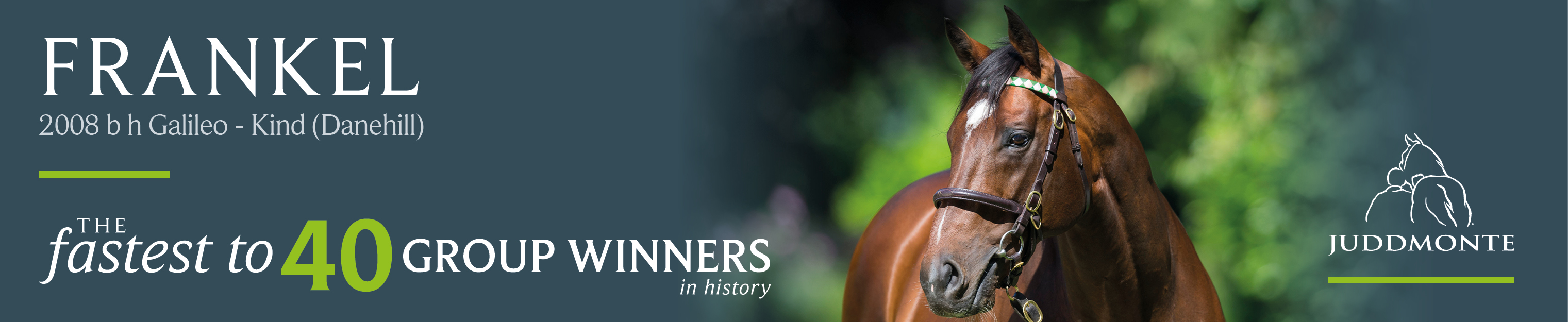 trc_banner_adverts_-_november_-_integrat