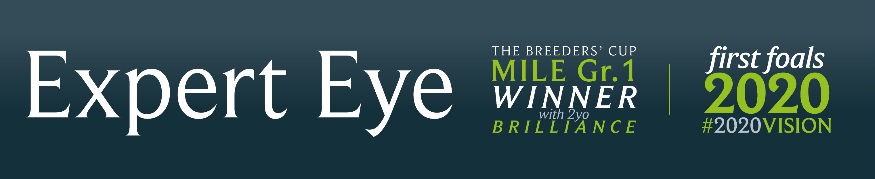 trc_banner_adverts_-_integrated_article_