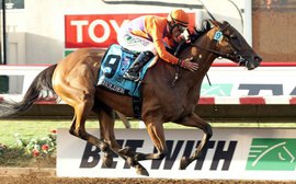 Beholder vs American Pharoah: which has the best chance in the Classic?