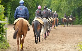  How France developed a golden generation of jockeys