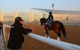 The rivals out to get California Chrome in Dubai on Thursday