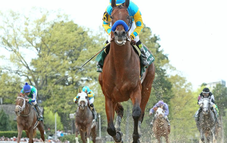 2009 Preakness Chart