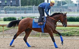 What would be fair odds on American Pharoah?