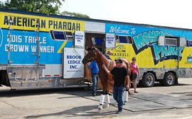 American Pharoah at Monmouth: Everywhere's packed - and the benefits don't stop there