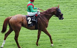 Beyond the local oval: A case study of Animal Kingdom at Royal Ascot