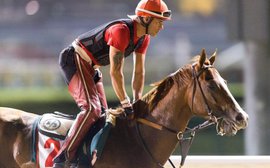 Chrome at the World Cup: Art Sherman is relishing the challenge - and charming Dubai