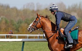 Royal Ascot preparations continue for 'Boss of the Heath' California Chrome
