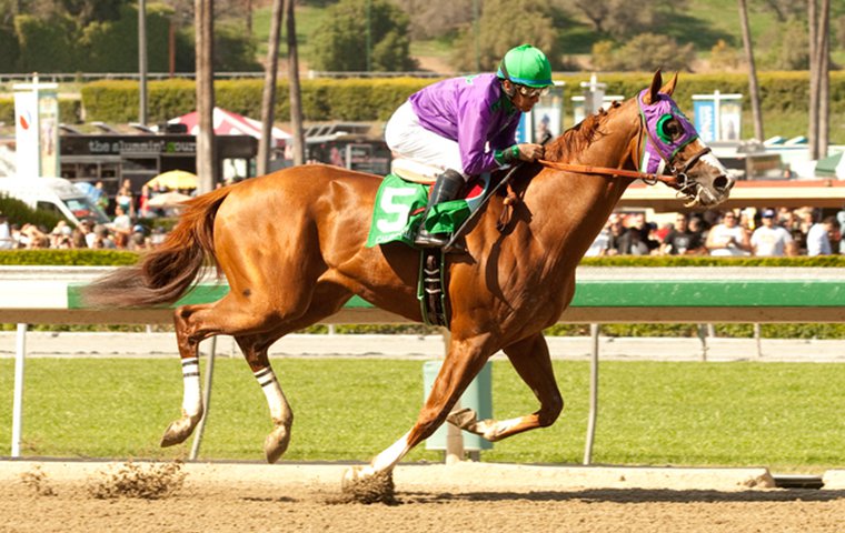 California Chrome Pedigree Chart