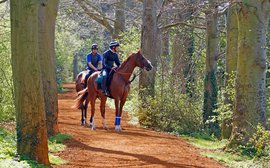 Formidable rivals lying in wait for California Chrome at Royal Ascot