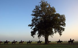 Why trainer Amy Weaver took the plunge and switched from Newmarket to Chantilly