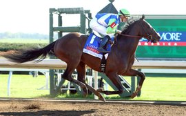 Preakness marks a stern test for Divining Rod and a milestone for Team Delacour 