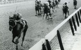 How ‘The Tiny Tigress’ romped away with the Filly Triple Crown