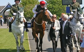 All eyes on Free Eagle as Moyglare Stud looks to build on Haefner's legacy