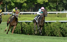 International turf superstar Flintshire to be trained in the U.S.