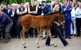 10 stand-out stories in the world of breeding in 2014