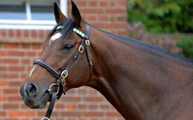 Frankel is the world’s top sire of 2021