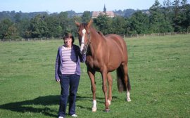 How a brilliant business brain set about the business of running a stud farm