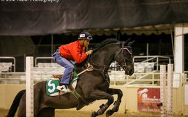 Trainers trounce jockeys to benefit the horses of CARMA