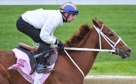 Success of Oaks runner I'm a Chatterbox speaks to dedication of small breeder