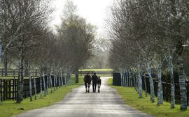 Back in full health, Irish National Stud prepares for life after Invincible Spirit