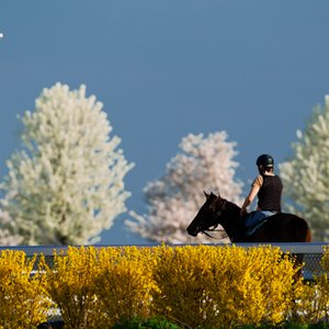 Track Kitchen Keeneland Menu Track Kitchen Keeneland Menu