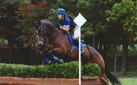 The program putting the spotlight back on Thoroughbreds in the show ring