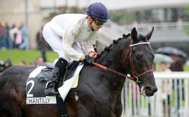 The owner and stallion who have taken French racing by storm
