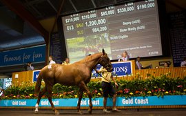 Often copied, rarely equaled: Magic Millions